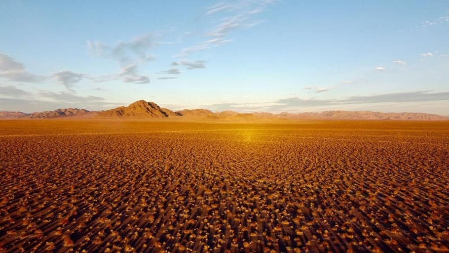 Miscellaneous 3, Tarantula Ranch Vineyard - Death Valley, Nye