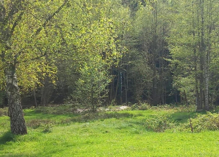 Others 5, Quiet Chalet with Garden, Moselle