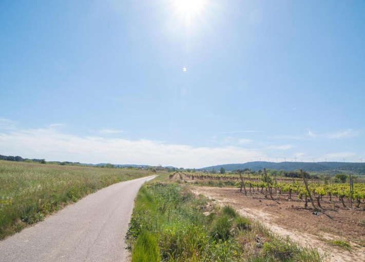 View from property 5, Holiday Home Talairan With Pool and BBQ, Aude
