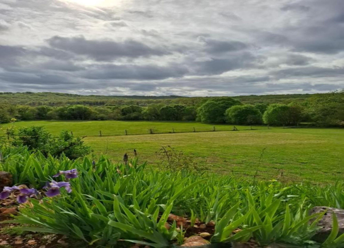 View from property 5, Nature Escape in Loubressac With Pool, Lot