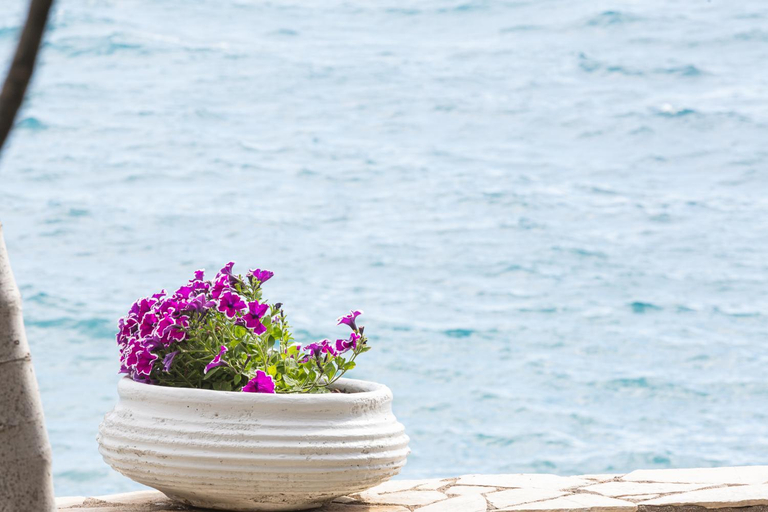 Sport & Beauty, Gorgones, sea-front, great view, Peloponnese