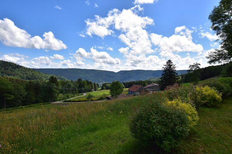 Others 5, Chalet in Saulxures Near Ski Resorts, Vosges