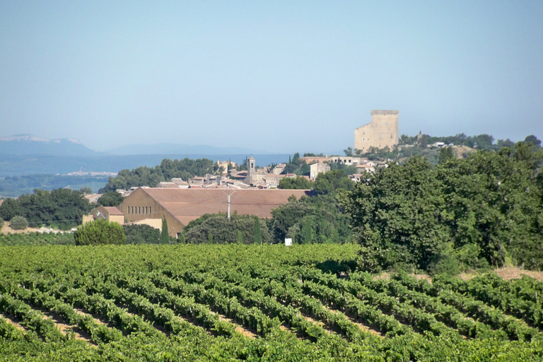 View from property 4, Villa in Valreas With Pool and Garden Views, Vaucluse