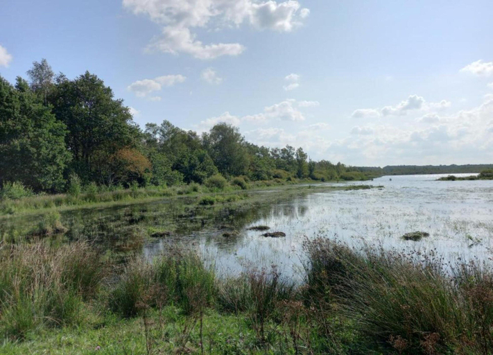 View from property 2, Wildlife Haven Near Le Pouldu, Finistère
