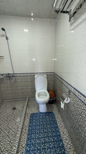 Bathroom 4, Allisher hotel, Samarkand