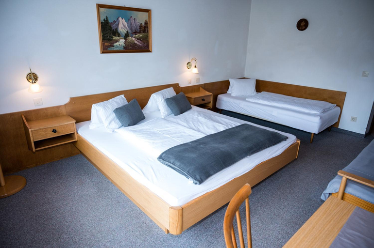 Others 3, Landhaus-Pension Pattis, Zell am See