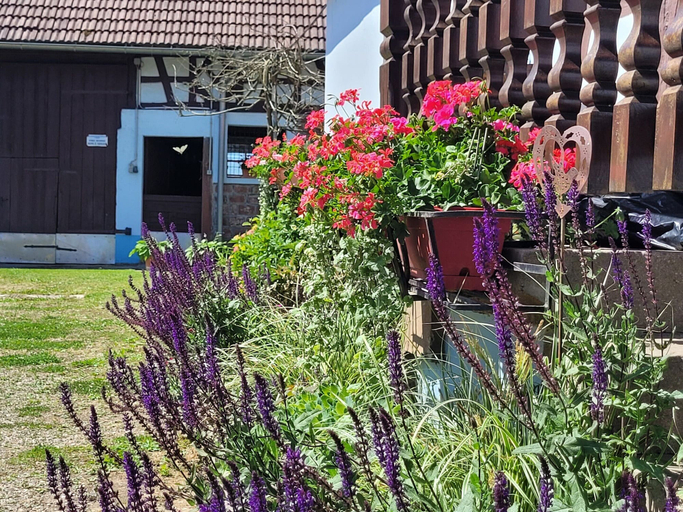 Exterior 5, Holiday Home Alsace Near Vosges Nature Park, Bas-Rhin