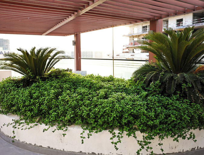 Property grounds 3, Bright Studio with Rooftop Pool & Gym, Dubai