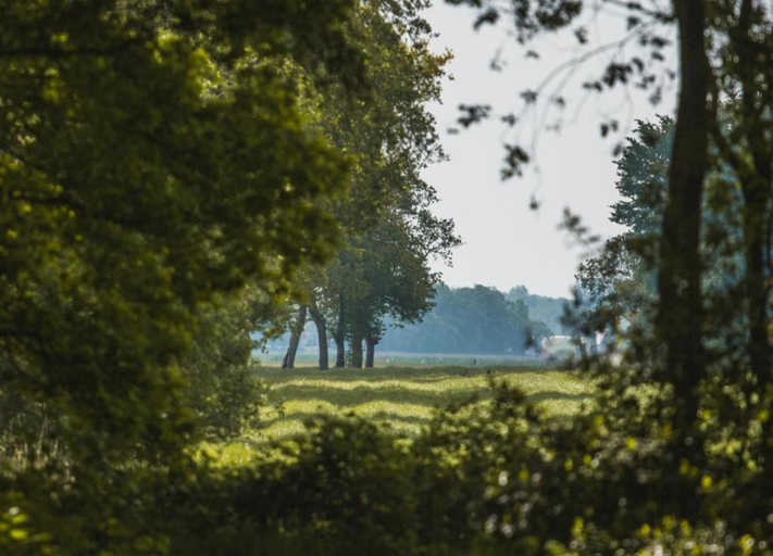 View from property 4, Wildlife Haven Near Le Pouldu, Finistère