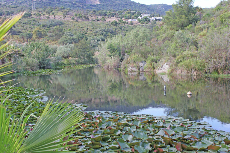 View from property 4, Holiday Home in Bormes-les-mimosas With Pool, Var
