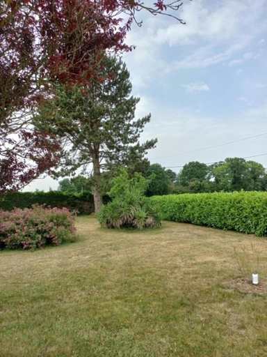 Garden 4, Charming Breton House in Henansal, Côtes-d'Armor