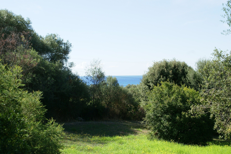 View from property 3, Romantic Retreat in Cargese, Corse-du-Sud