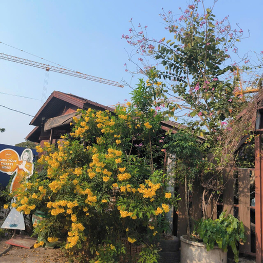 Property grounds 2, Anna Bungalow Vientiane, Vientiane