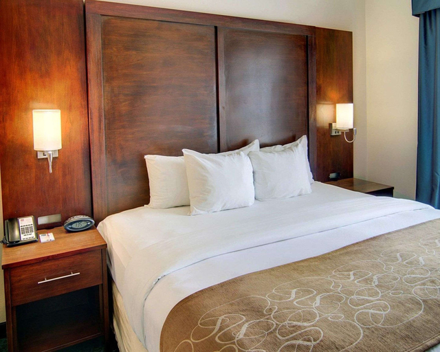 Bedroom 3, Comfort Suites Texarkana Arkansas, Miller