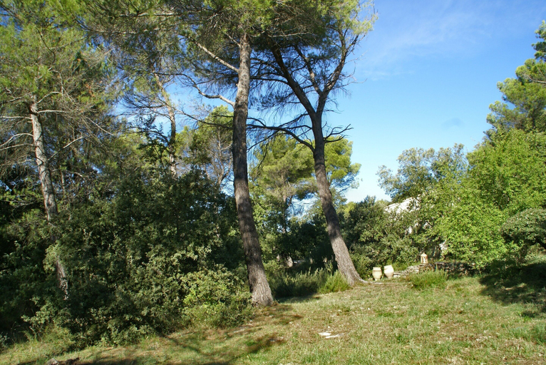 Garden 2, Villa in Crillon-le-brave Near Mont Ventoux, Vaucluse