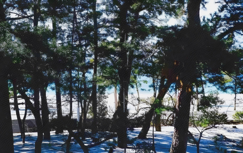 Others 3, HOTEL SHIRAHAMAKAN, Shirahama