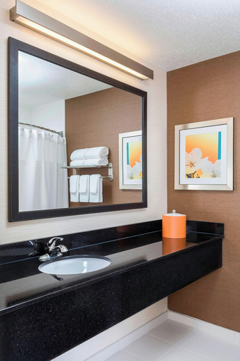 Bathroom 3, Fairfield Inn by Marriott Muncie, Delaware
