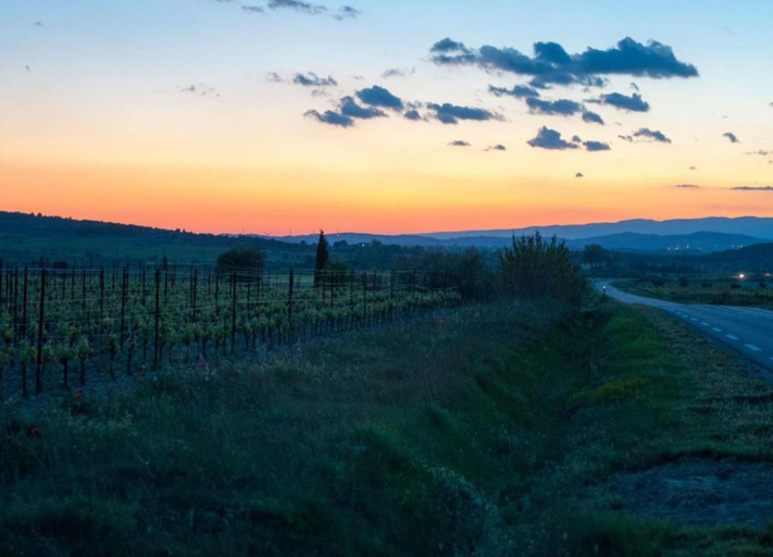 View from property 4, Peaceful Escape in Argeliers, Aude