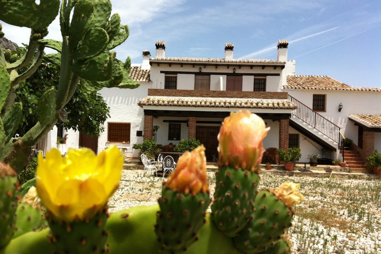 Exterior 5, Quiet Costa del Sol Cottage, Málaga