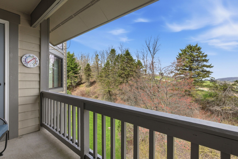 Others 5, Seven Springs 1 BR Loft Condo by RedAwning, Somerset