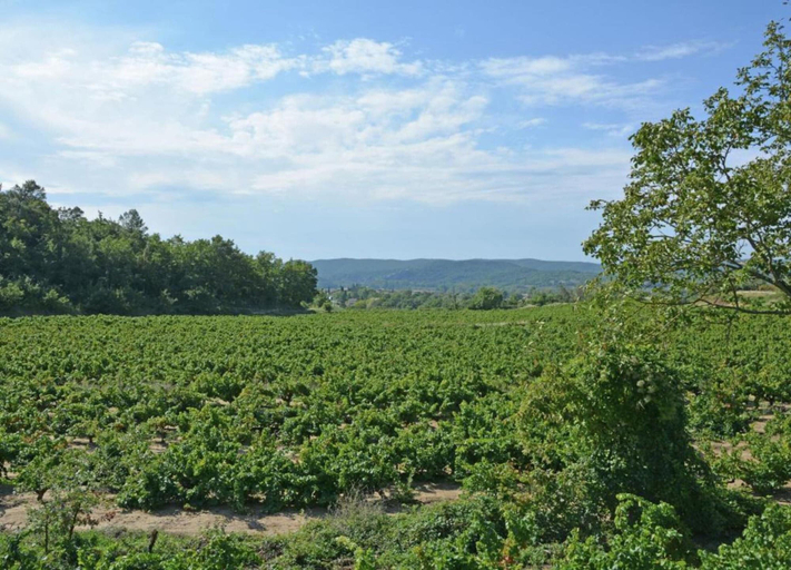 View from property 4, Saint-bres: Pool & Nature, Gard