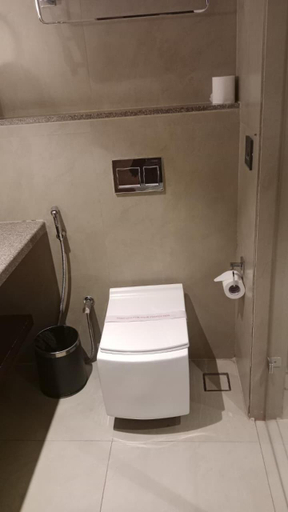 Bathroom 3, HOTEL AVINASH INTERNATIONAL, Bastar