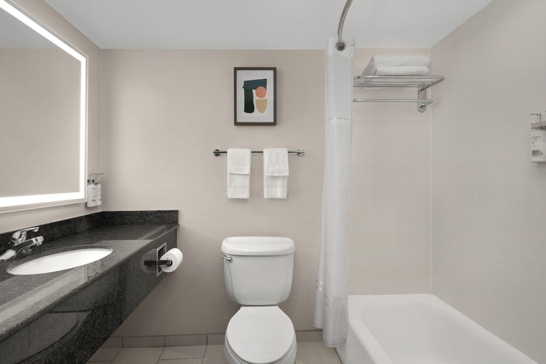 Bathroom 4, Holiday Inn SANTEE by IHG, Orangeburg