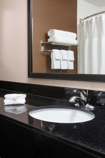Bathroom 4, Fairfield Inn & Suites Chicago Tinley Park, Will