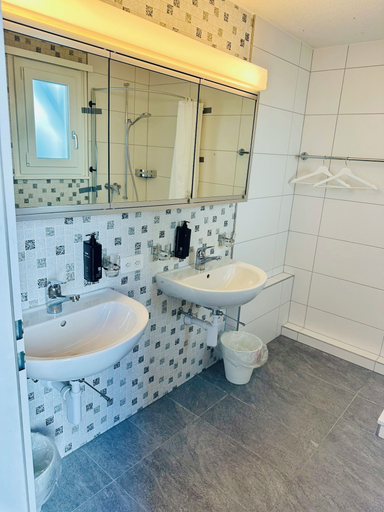 Bathroom, Hotel Rebstock, Oberhasli