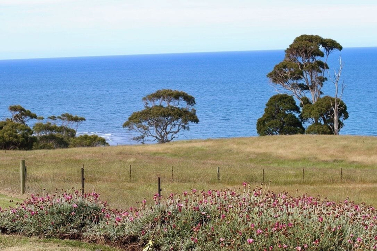 Miscellaneous 2, Seaside Farm, Central Coast - Pt A