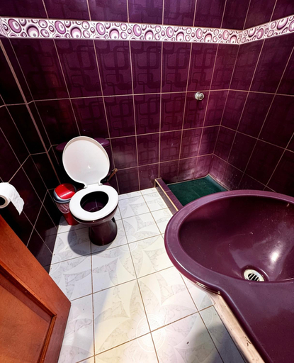 Bathroom 5, Hostal El Viajero-Mindo, San Miguel de los Bancos