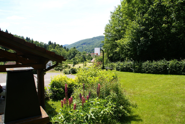 Garden 5, Holiday Home in Vosges With Garden and BBQ, Haute-Saône
