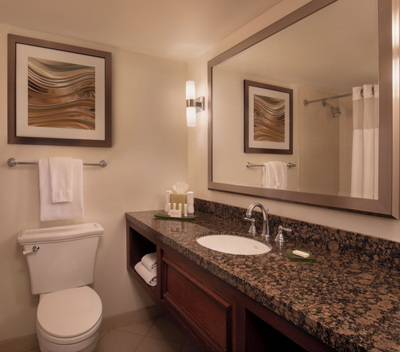 Bathroom 5, Courtyard by Marriott Bradenton Sarasota Riverfront, Manatee