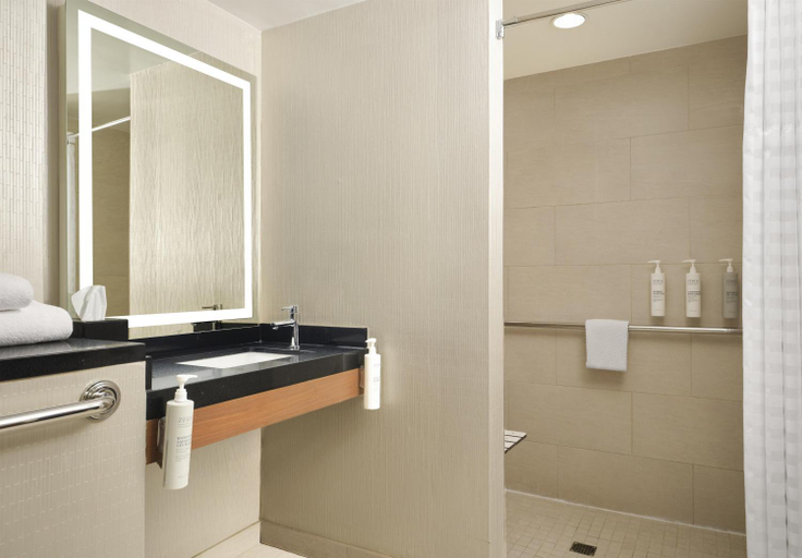 Bathroom 5, Embassy Suites by Hilton Chicago Downtown Magnificent Mile, Cook