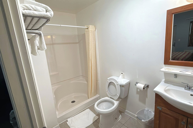 Bathroom 3, At 9 Motel Near Freehold I-195, Monmouth