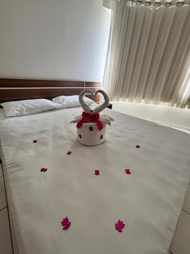 Others 5, Hotel Toulon, Caldas Novas