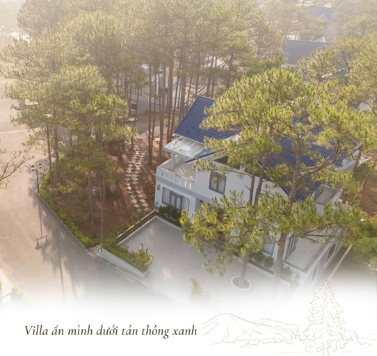 Others 5, Tea Resort Dalat, Lạc Dương