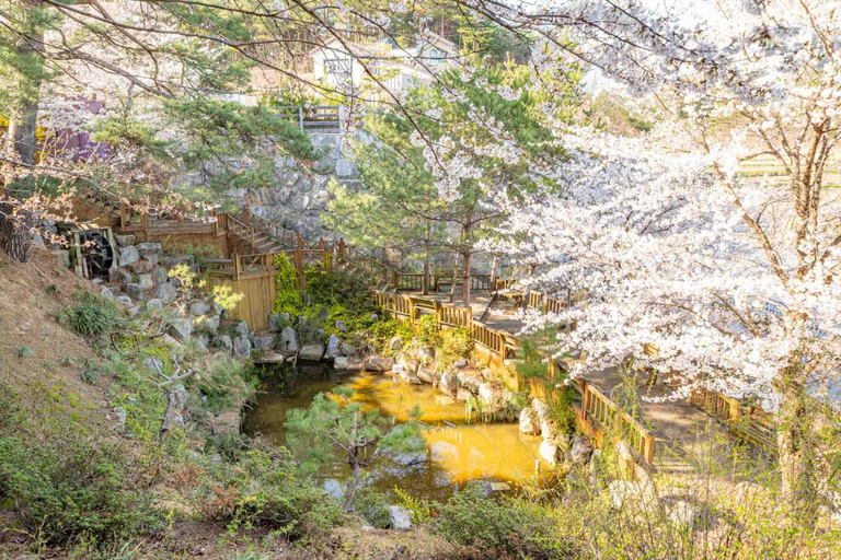 Others 2, Gangneung Solbit Pension, Gangneung