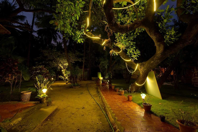 Others 5, Rockit Cafe And Stay, South Goa