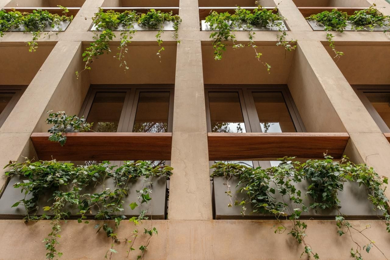 Exterior 3, SAAVI by ONTO SIGNATURE, Mexico City
