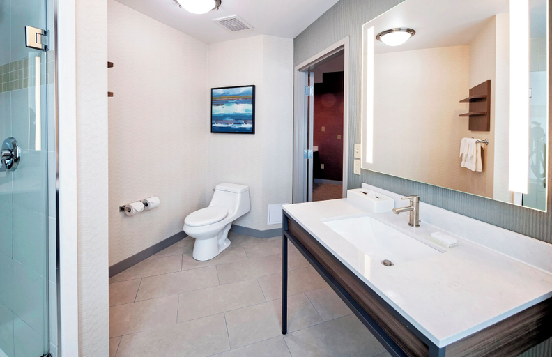 Bathroom 4, Hilton Garden Inn Ottawa Airport, Ottawa