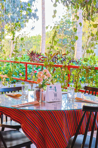 Food & Drinks 5, Las Poncianas, Casma
