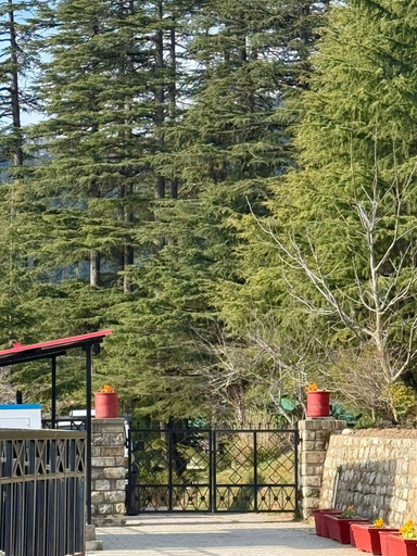Others 3, Deodar Manor - A Luxury Stay in Khajjiar, Chamba