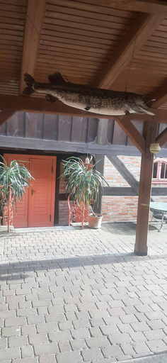 Others 4, Gasthaus & Pension Luisenstube, Mecklenburgische Seenplatte