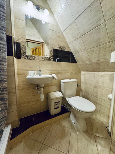 Bathroom 5, U Bobra, Tatra