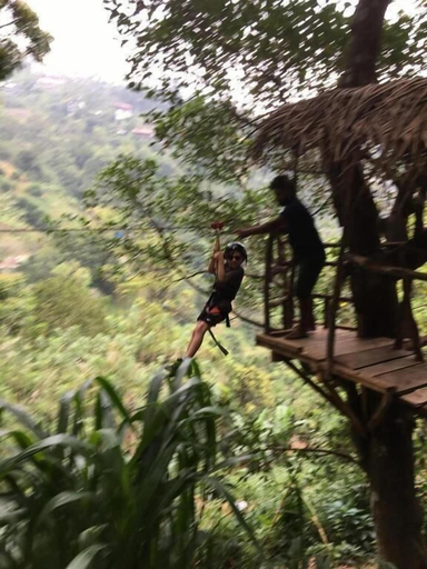 Miscellaneous 2, Ella Treehouse, Ella