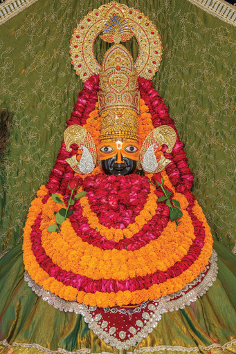 Others 5, R CHANDRA PALACE, Jaipur