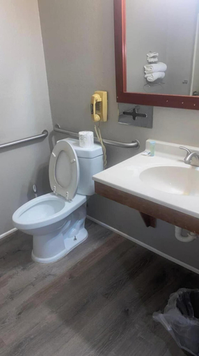 Bathroom 3, Coldwater Inn & Suites near I 69, Branch