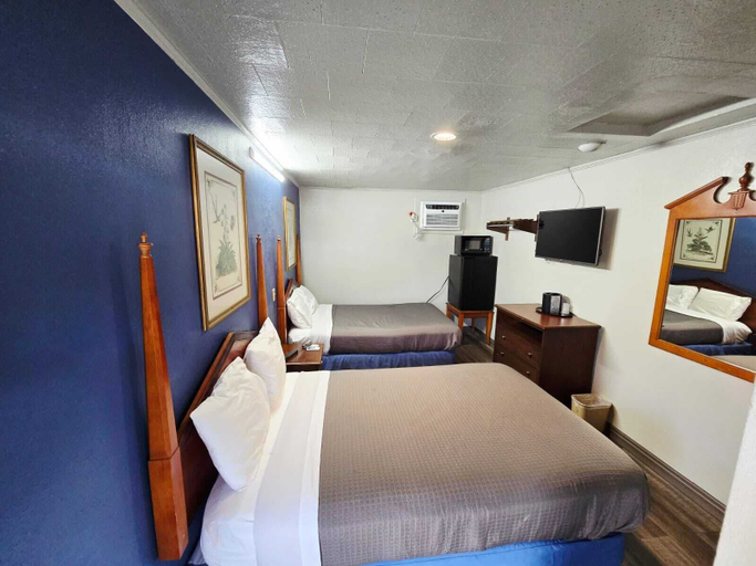 Room 4, Chek Inn Motel Rockingham NC, Richmond