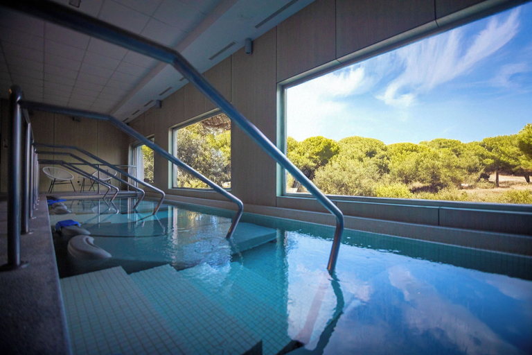 Pool, Progevita, Valencia